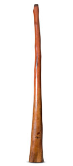 Tristan O'Meara Didgeridoo (TM435)